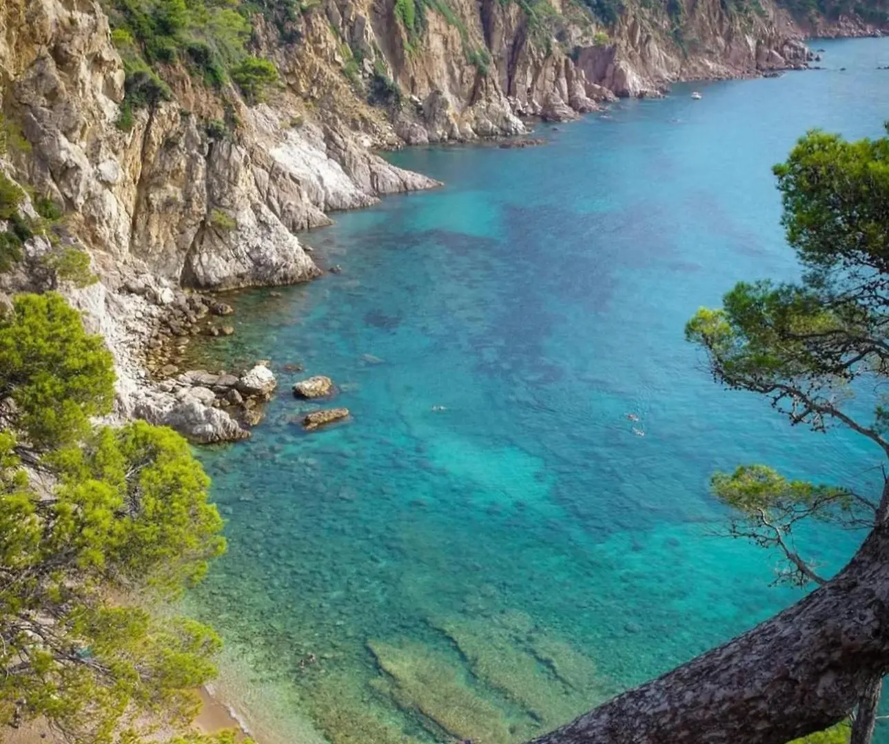 Villa Mediterranea Boutique House Tossa de Mar Feriehus