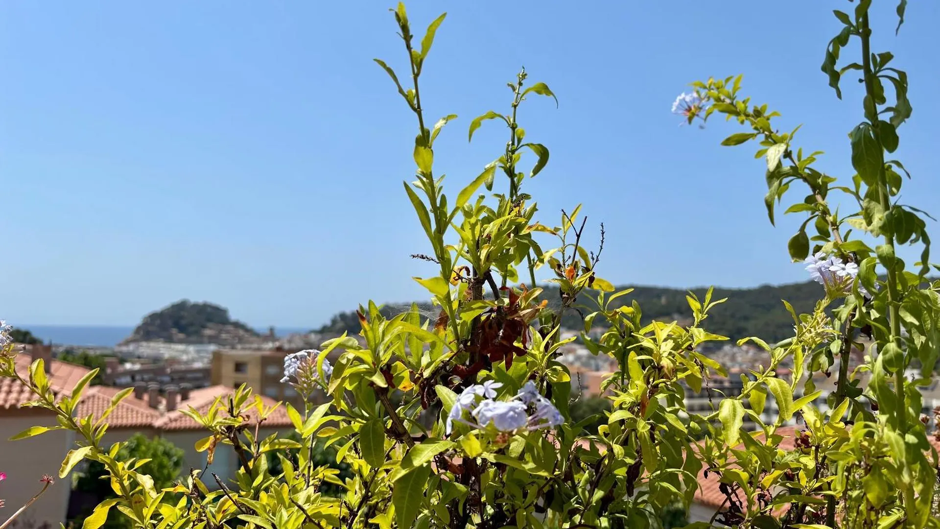 Feriehus Villa Mediterranea Boutique House Tossa de Mar